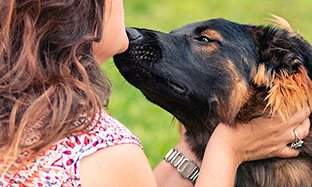 Welcoming a puppy or a kitten in your home: practical tips before your pet’s arrival